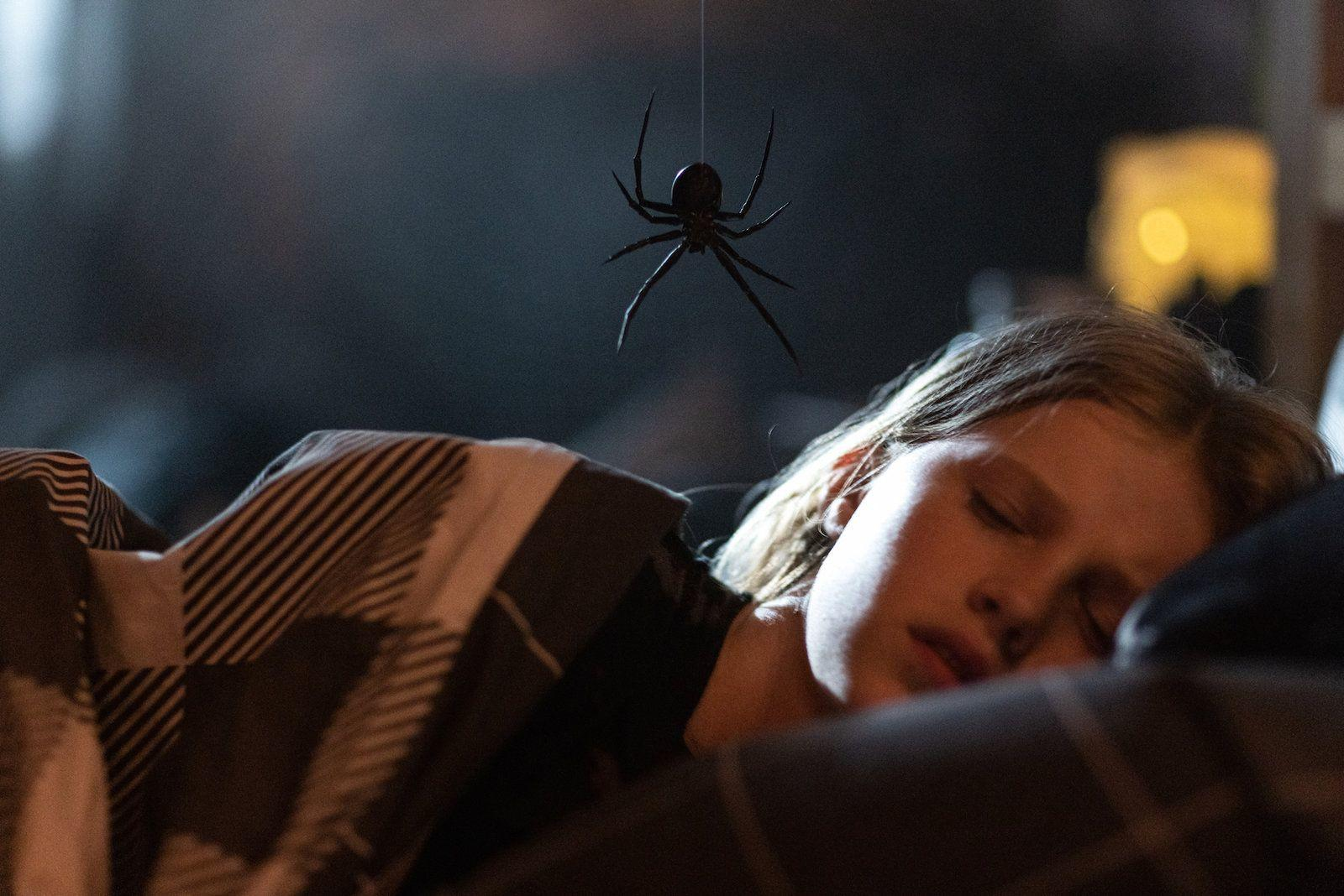 Ein Mädchen schläft im Bett, eine schwarze Spinne hängt über ihr. Der Raum ist dunkel, ein Fenster ist sichtbar.