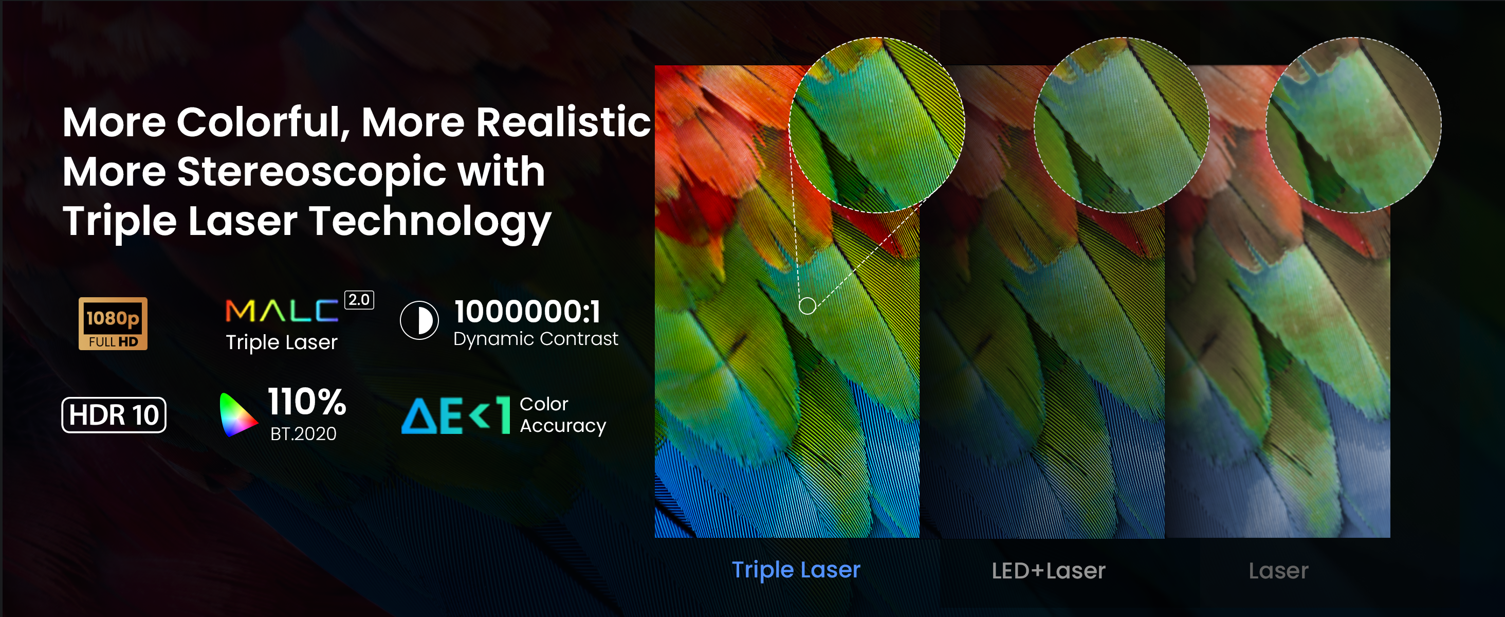 L'image montre des plumes colorées avec des détails de la technologie Triple Laser.