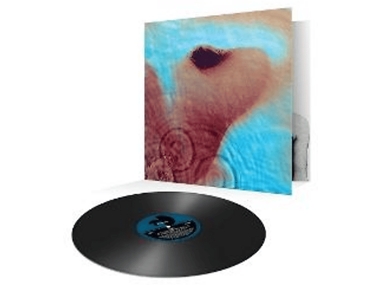 Pink Floyd - Meddle - (Vinyl)