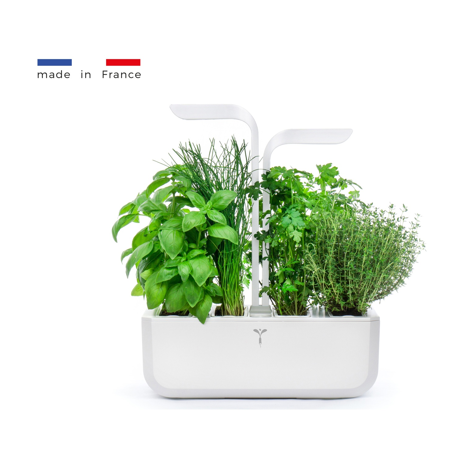 Una fioriera bianca con erbe aromatiche e la bandiera francese.