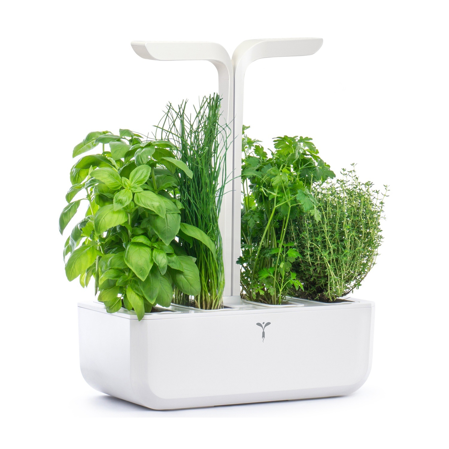 Giardino interno bianco con basilico, erba cipollina, prezzemolo e timo, sotto luci LED.
