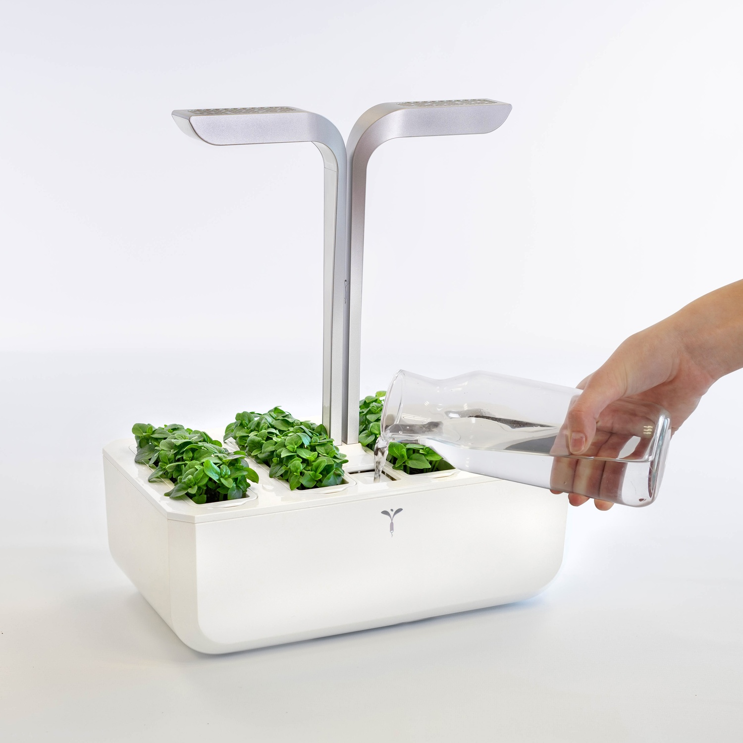 Mano che versa acqua in un giardino interno idroponico con piante verdi e luci argentate.