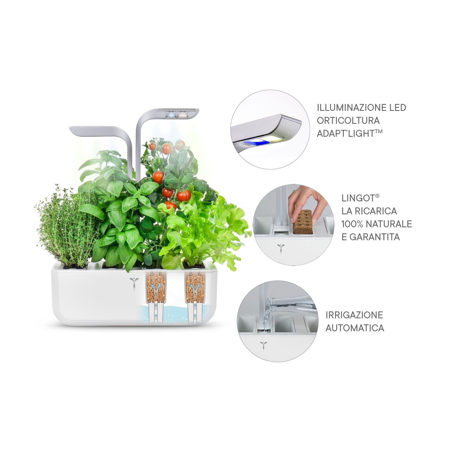 Un giardino interno bianco con piante ed etichette per l'irrigazione, le luci e il sistema Lingot.