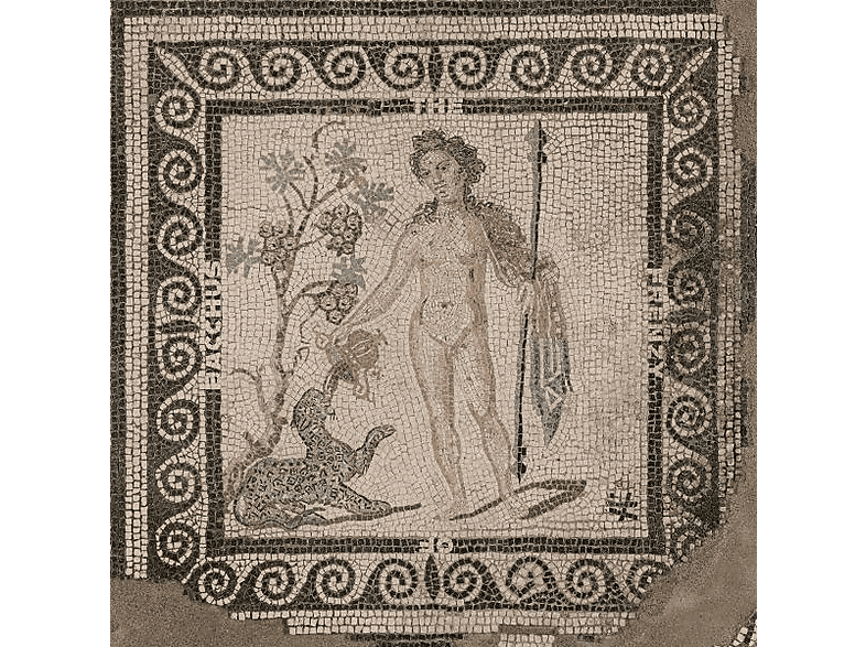 A.S.M - The Frenzy of Bacchus - (CD)