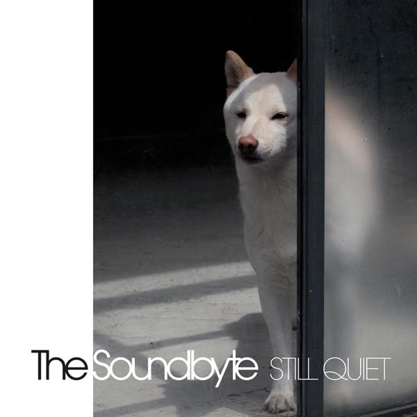 Ein weißer Hund, der aus einem Türrahmen späht, mit dem Text 'The Soundbyte Still Quiet'.