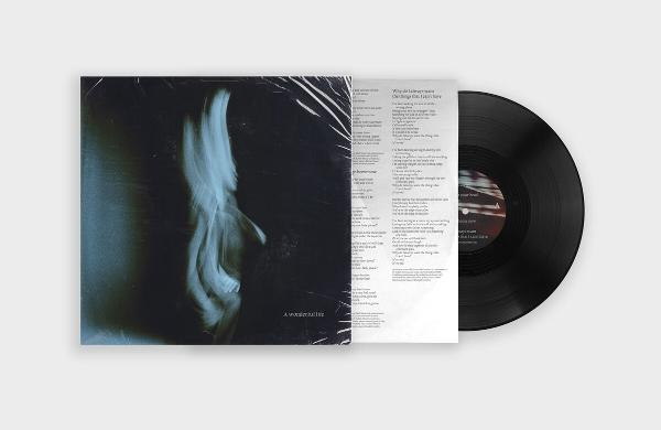 Vinylplatte in transparenter Hülle, Text sichtbar. Der Hintergrund ist dunkel.