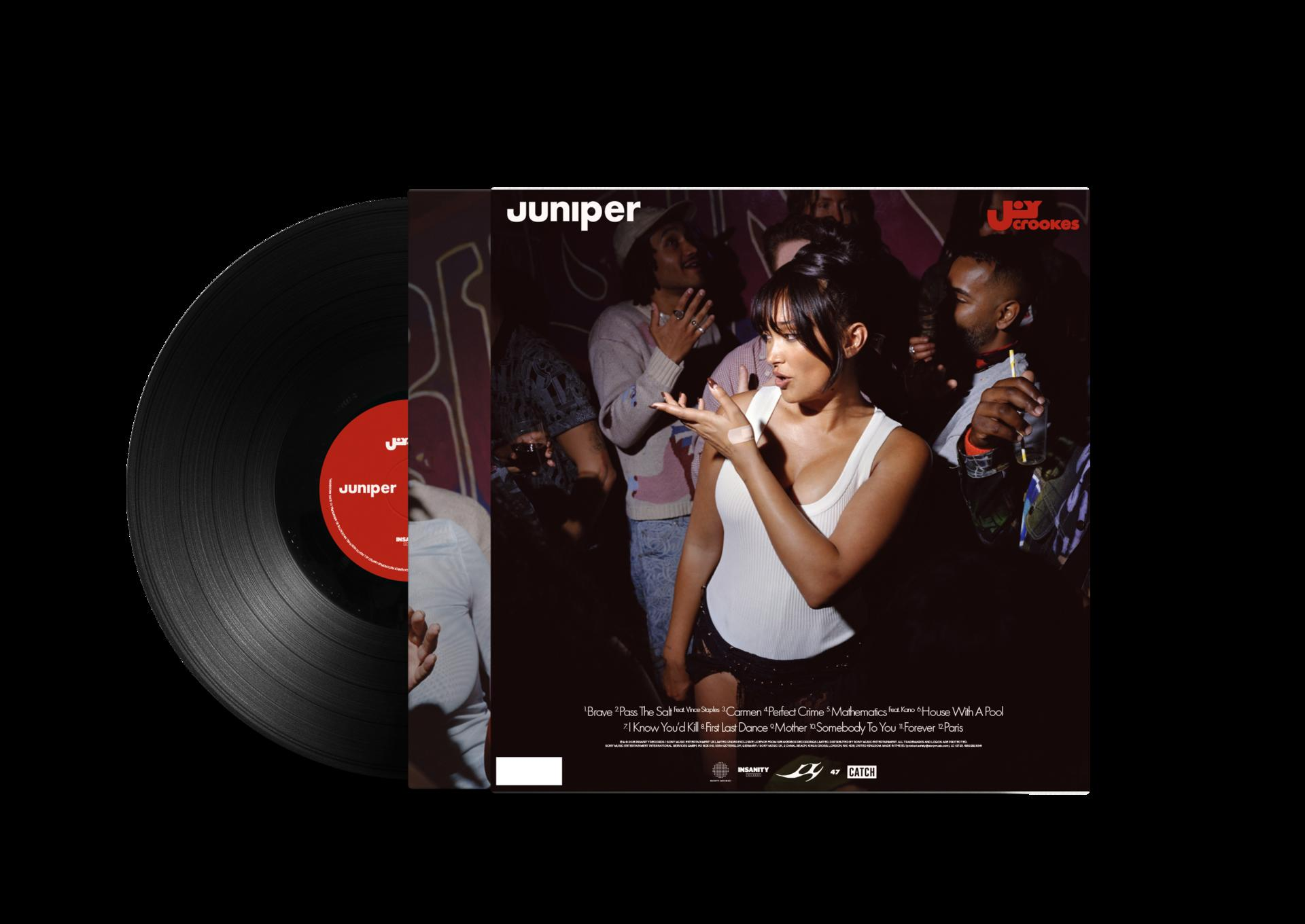 Joy Crookes Juniper Schallplatte, Albumcover mit Leuten in Bar.