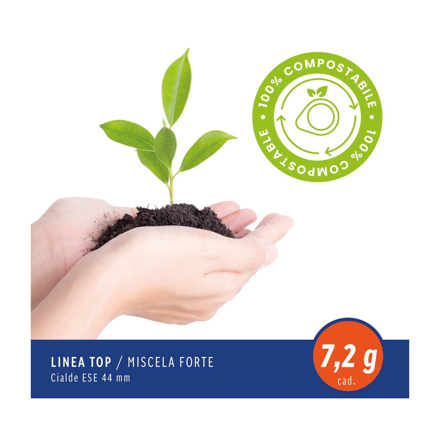 Mani che tengono la terra con una piccola pianta verde che spunta.
