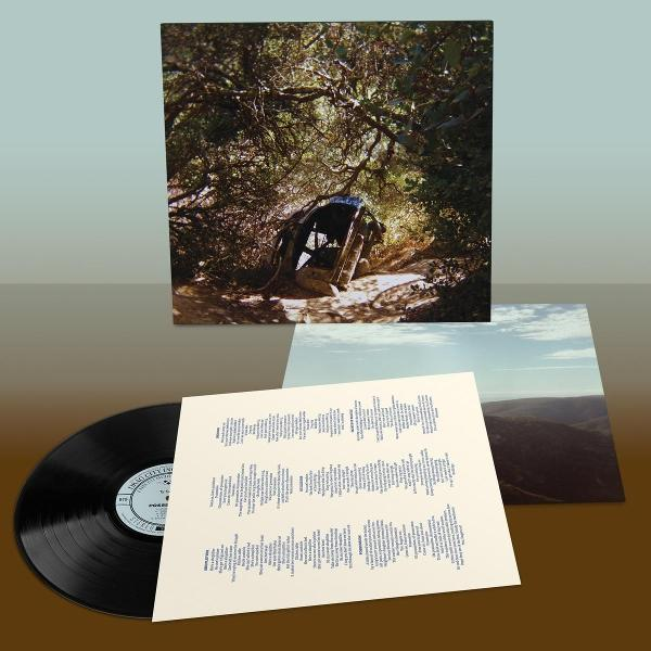 Vinyl-Schallplatte mit Albumcover. Ein Wrack im Wald. Textblatt.