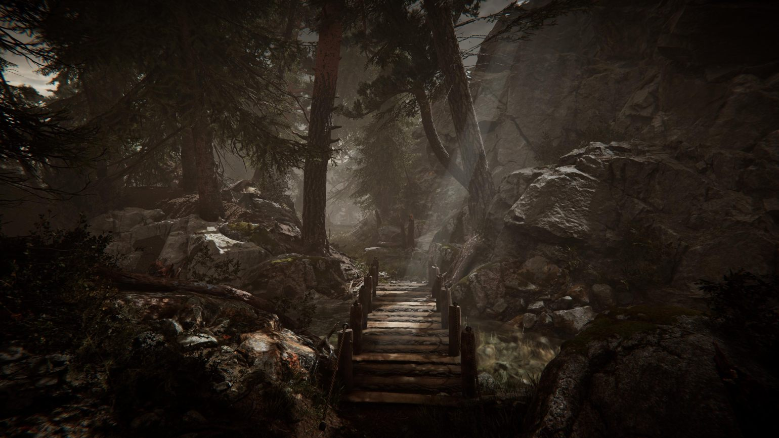 Puente de madera en un bosque oscuro. Paisaje rocoso, árboles y una atmósfera melancólica.