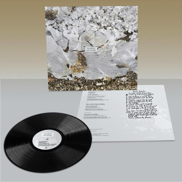 Albumcover: Schallplatte, Cover zeigt zerbrochenes Eis und Text.