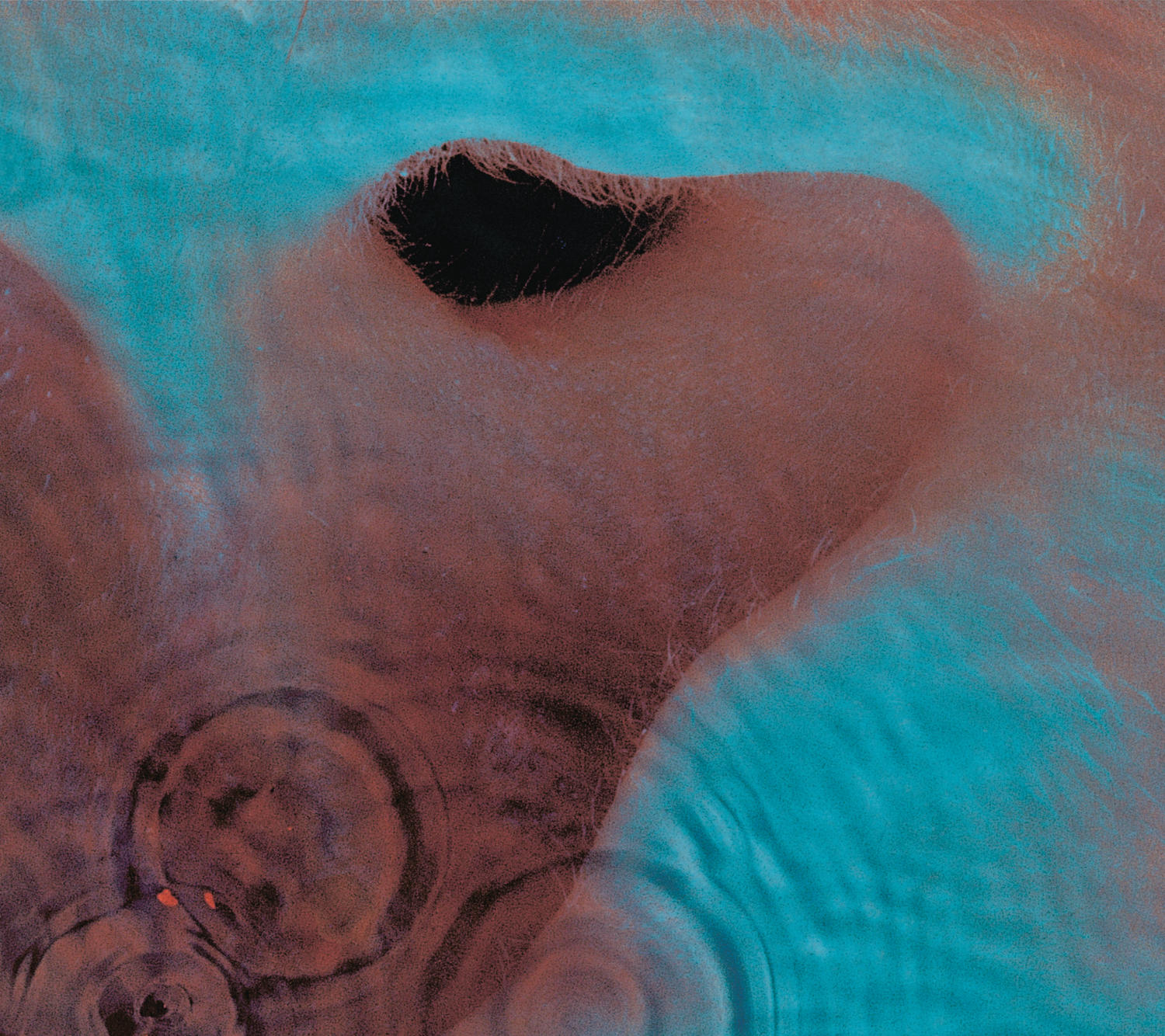 Abstraktes Bild mit dunklem Loch in der Mitte, umgeben von blauen und braunen Farben.
