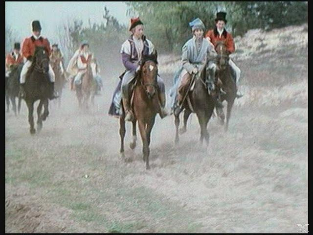 Gruppe von Leuten reitet auf Pferden auf einer Wiese.