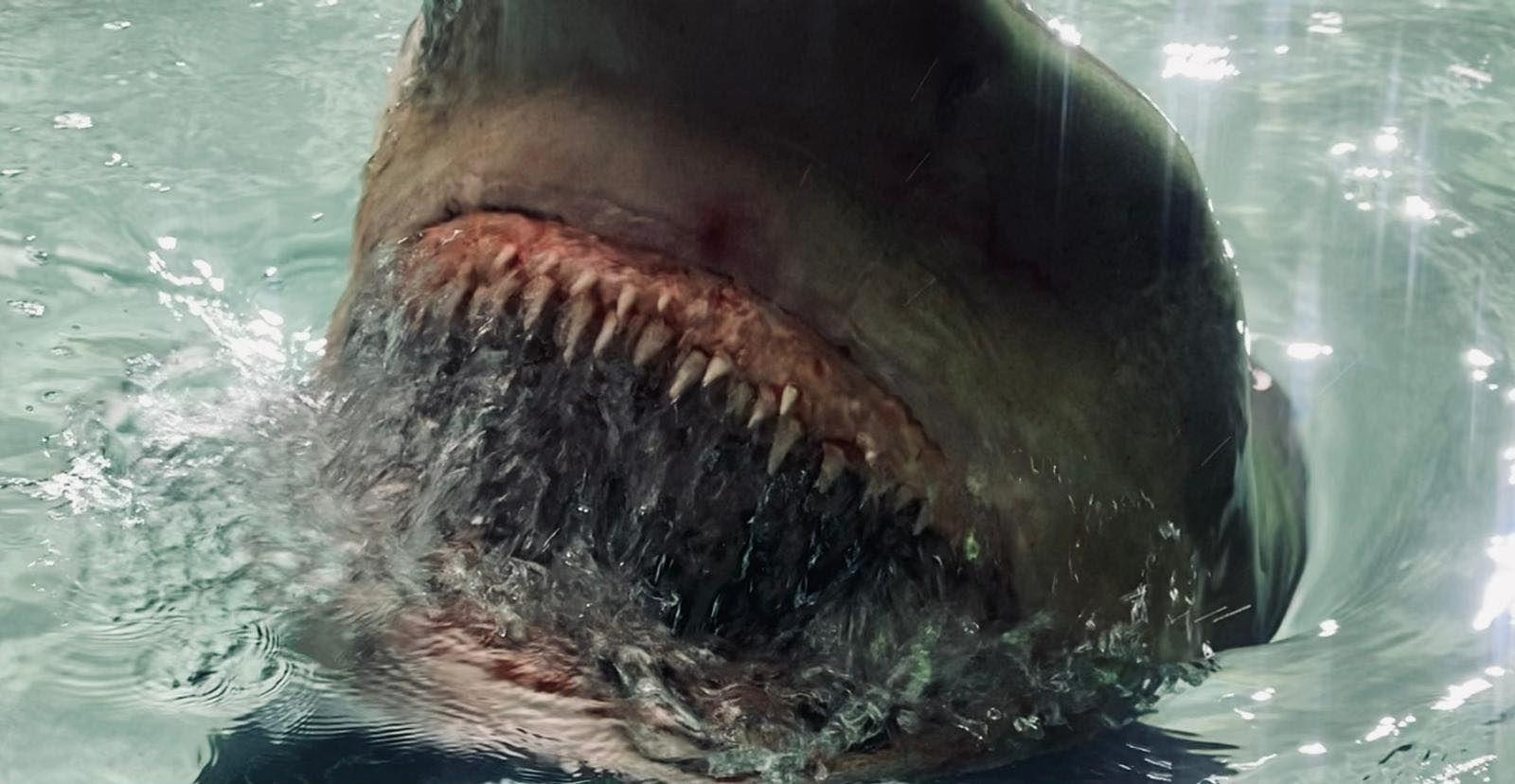 Nahaufnahme eines Haifischmauls im Wasser, Zähne und Wasserspritzer zeigend.