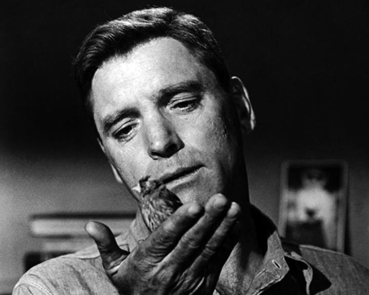 Schwarz-Weiß-Bild eines Mannes, der einen kleinen Vogel in seiner Hand hält und nach unten schaut.