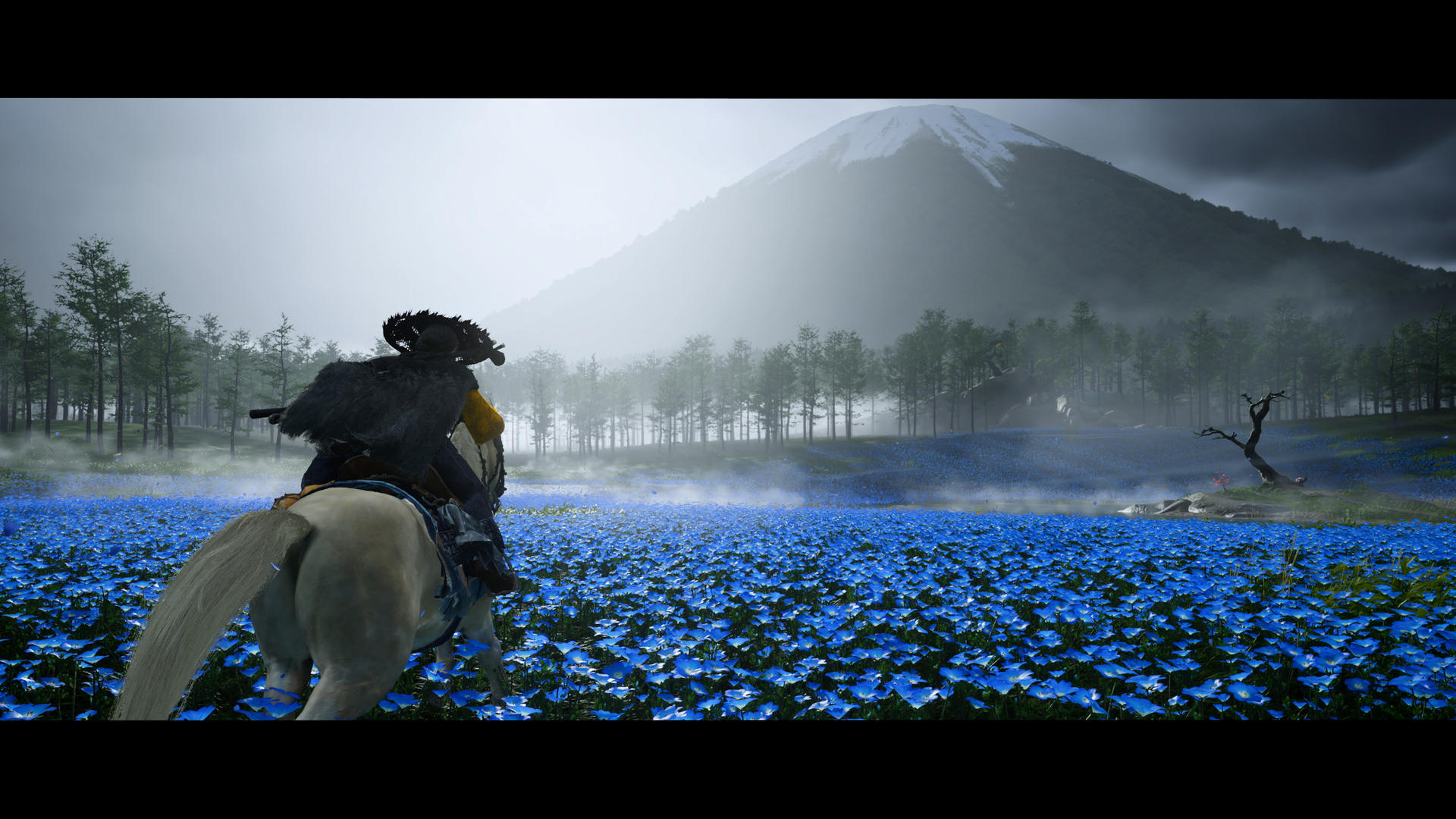 Ein Reiter auf einem weißen Pferd reitet durch ein Feld mit blauen Blumen.
