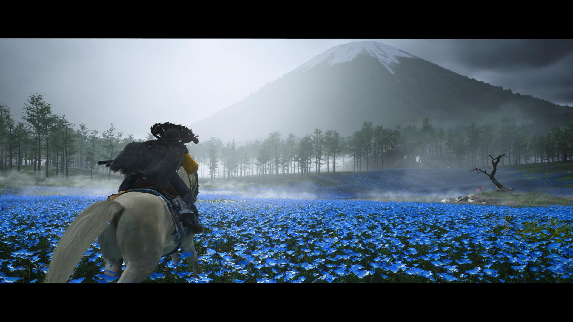 Ein Reiter auf einem weißen Pferd reitet durch ein Feld voller blauer Blumen, mit einem schneebedeckten Berg im Hintergrund.