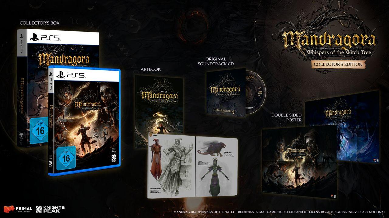 Spielbox-Set für Mandragora: Whispers of the Witch Tree. Beinhaltet Spiel, Artbook und CD.