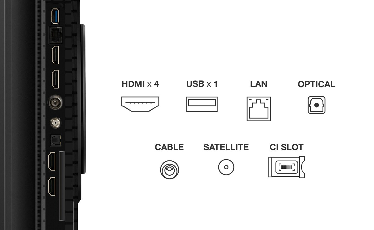 Gros plan sur les ports TV. Comprend HDMI, USB, LAN, Optique, Câble, Satellite et logement CI.