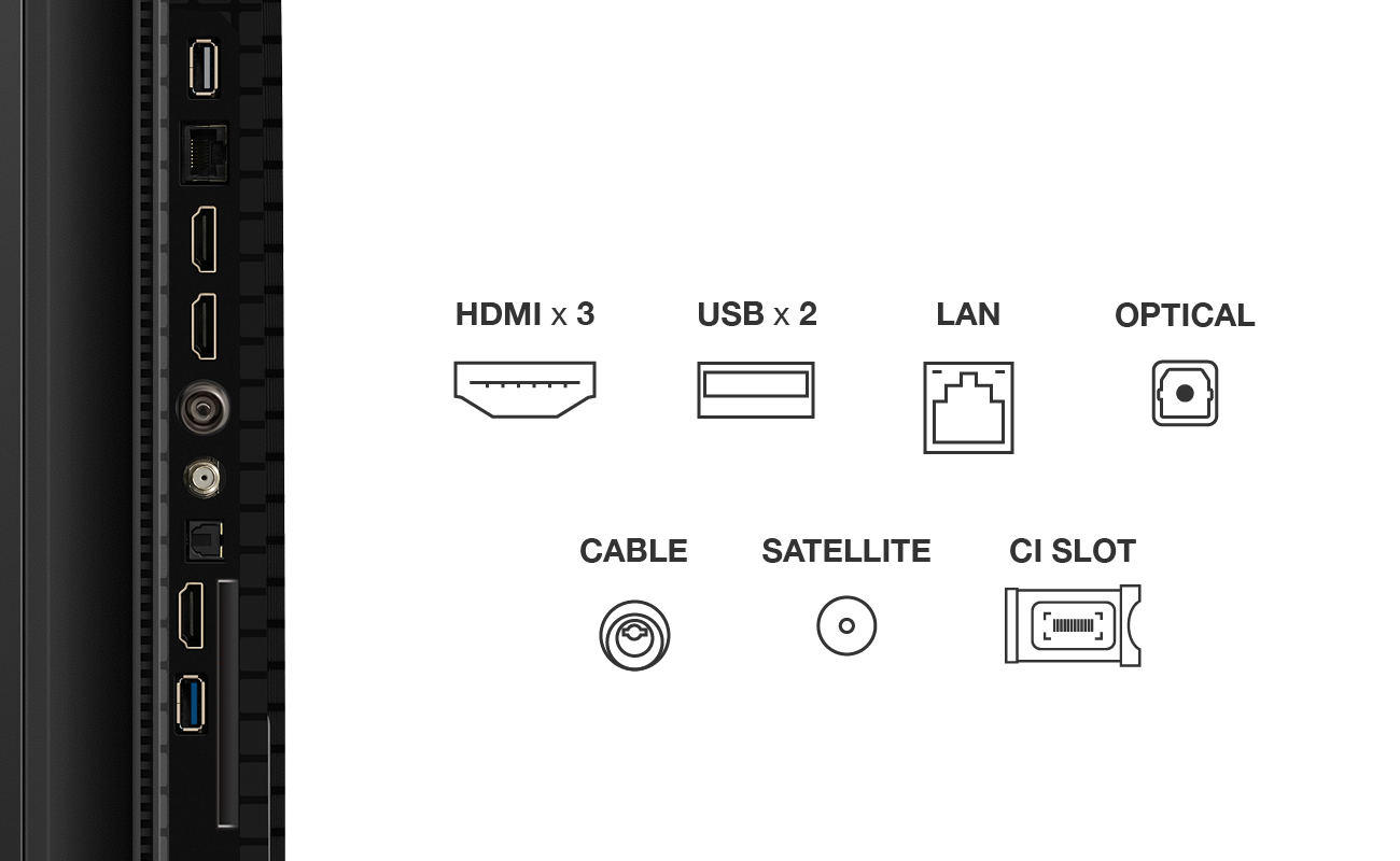 Ports TV : HDMI, USB, LAN, Optique, Câble, Satellite et Emplacement CI.