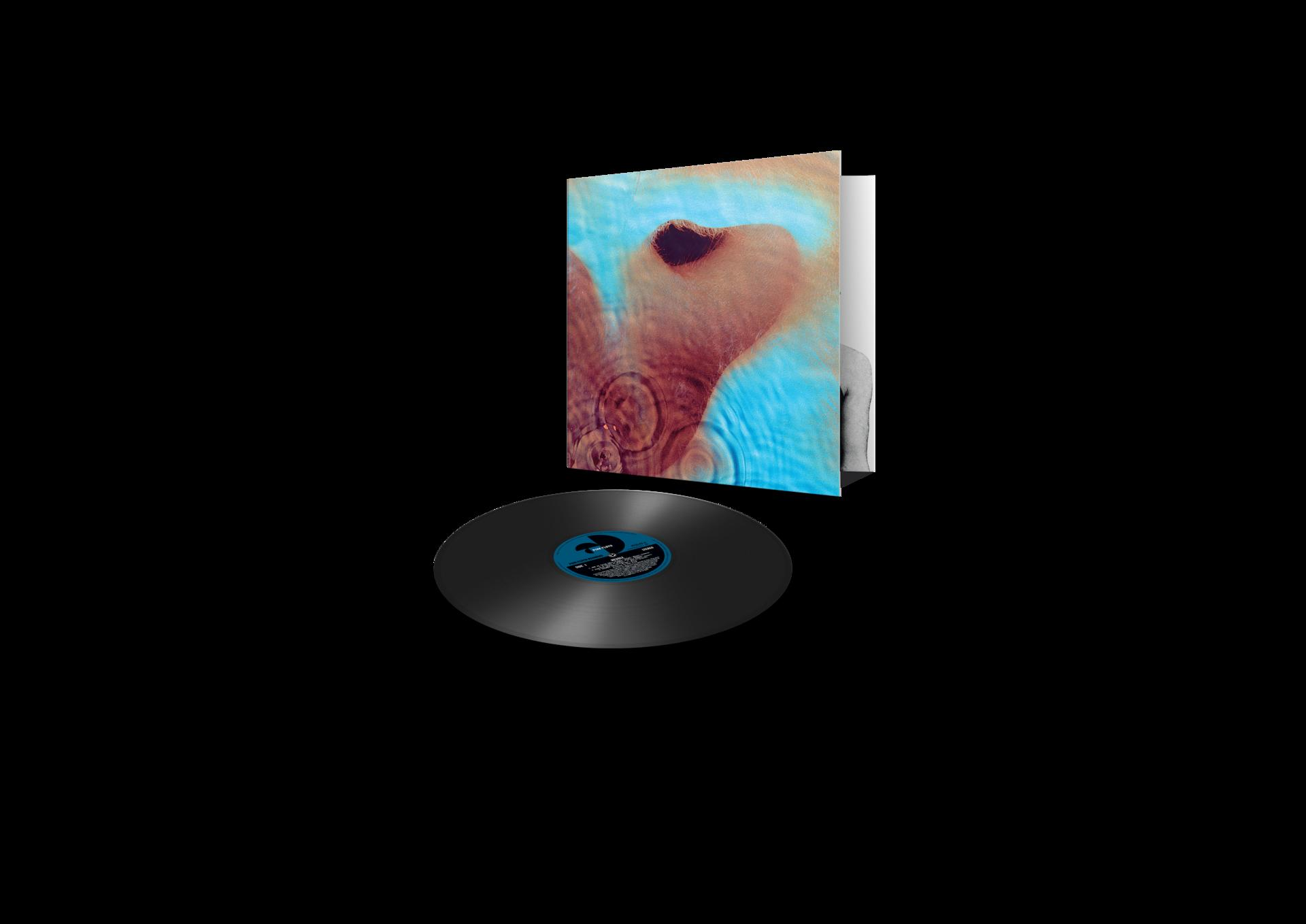 Albumcover mit schwarzer Schallplatte. Das Cover zeigt Wasserwellen und ein braun-oranges Bild.