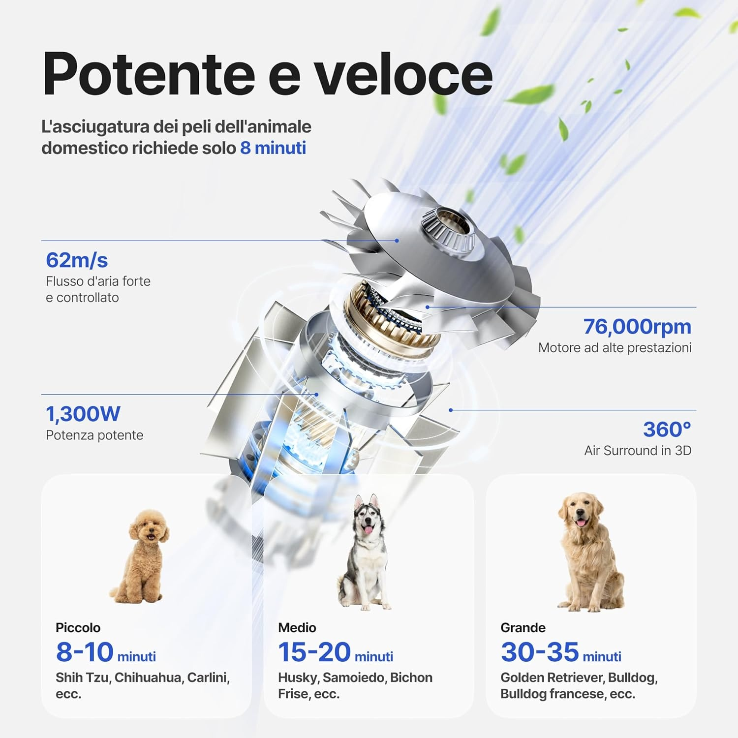 Diagramma dei componenti dell'asciugacapelli per animali domestici con direzioni del flusso d'aria. Stime temporali per cani piccoli, medi e grandi.