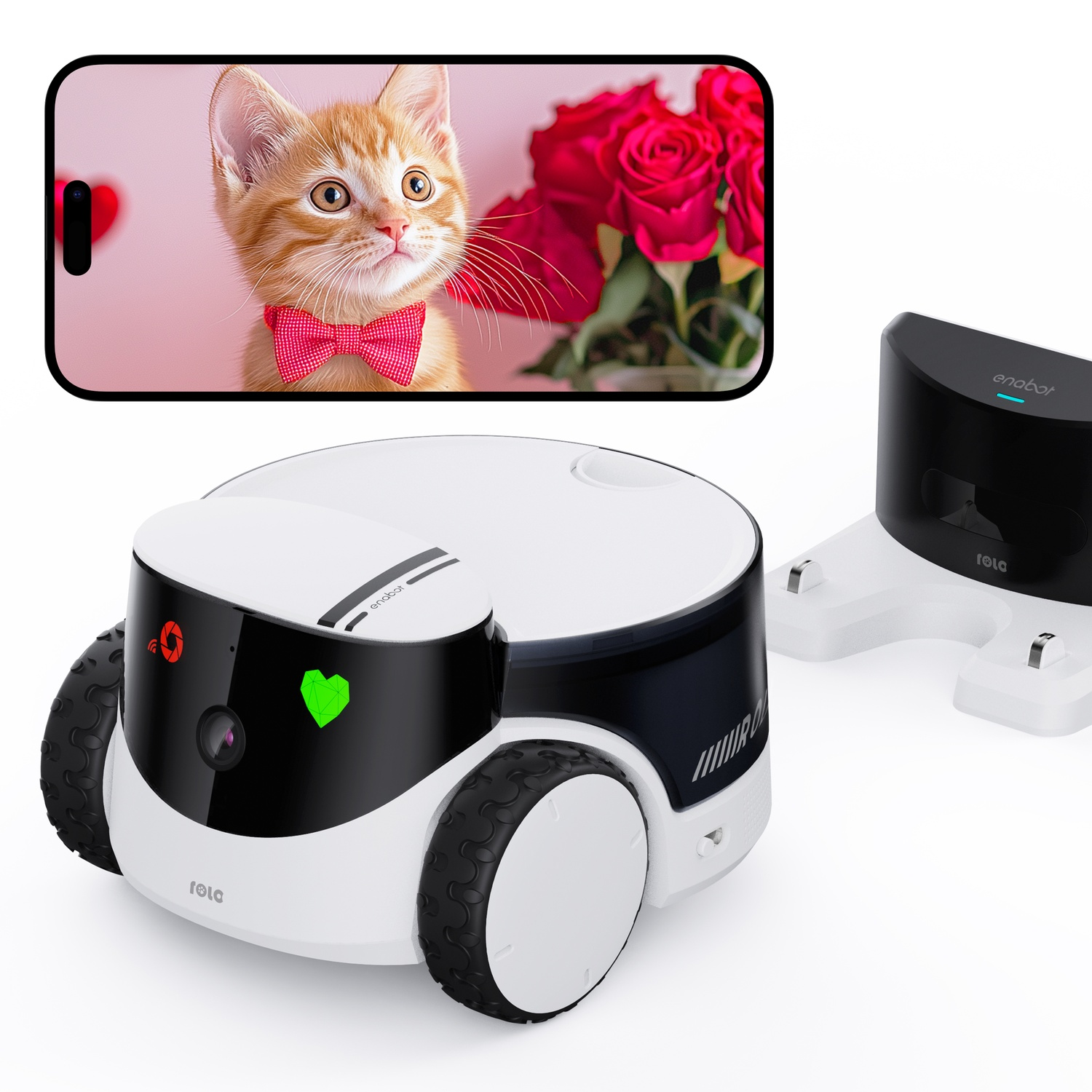 Robot giocattolo con telefono che mostra immagine di gattino, con rose sullo sfondo.