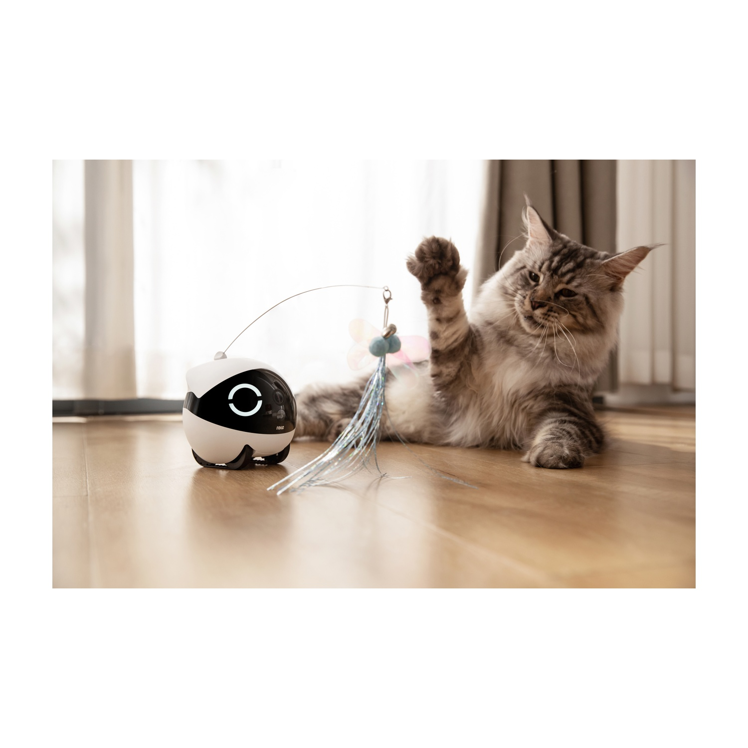 Gatto gioca con un giocattolo. Robot nelle vicinanze. Pavimento in legno e finestra sullo sfondo.