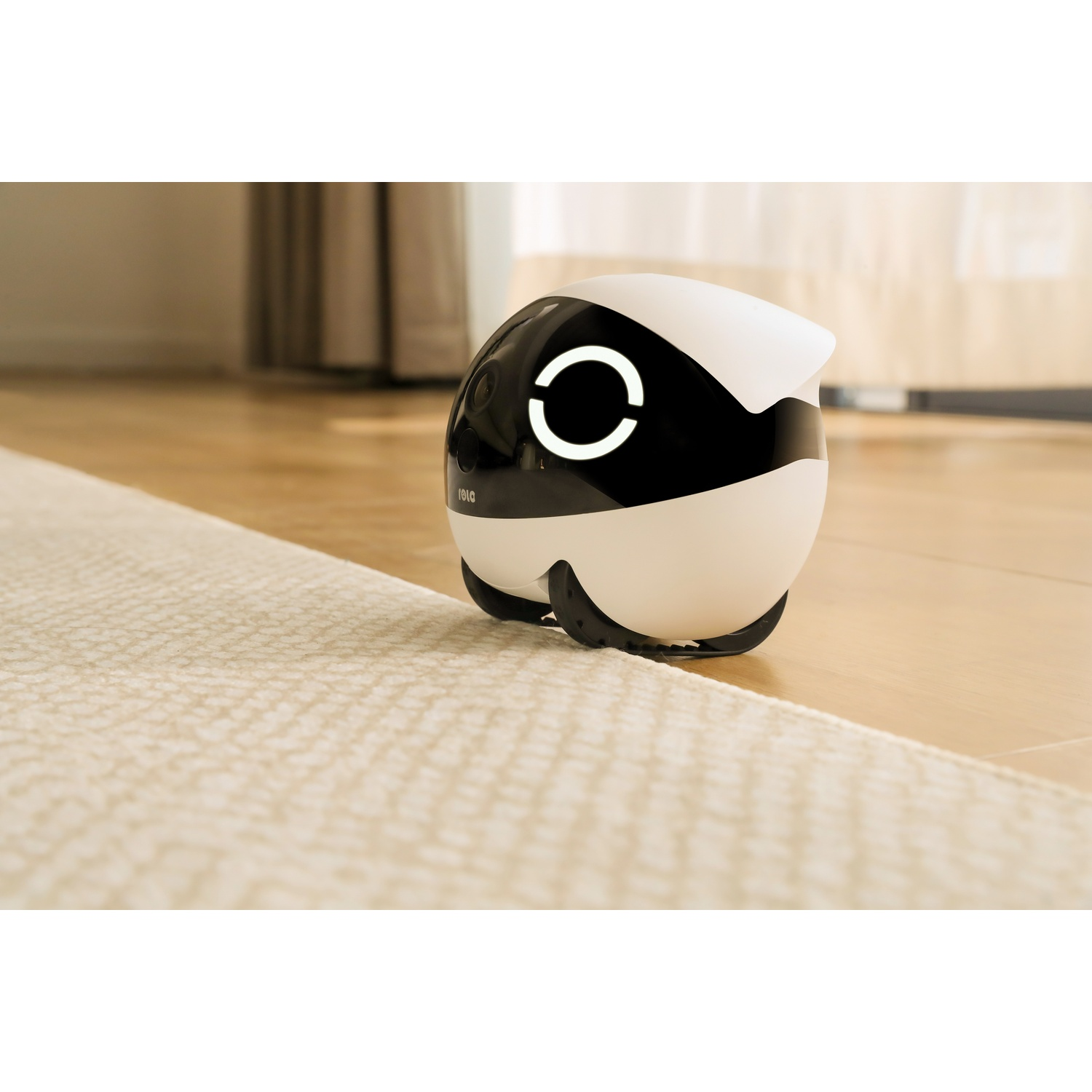 Robot su un tappeto, su un pavimento in legno. Il robot ha un design bianco e nero.