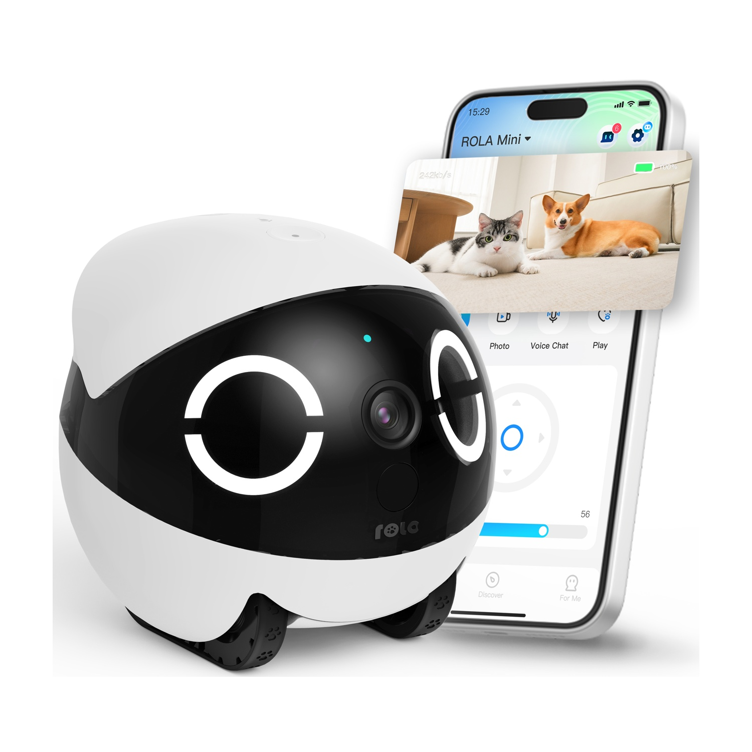 Robot con telefono che mostra un gatto e un cane, con interfaccia dell'app.