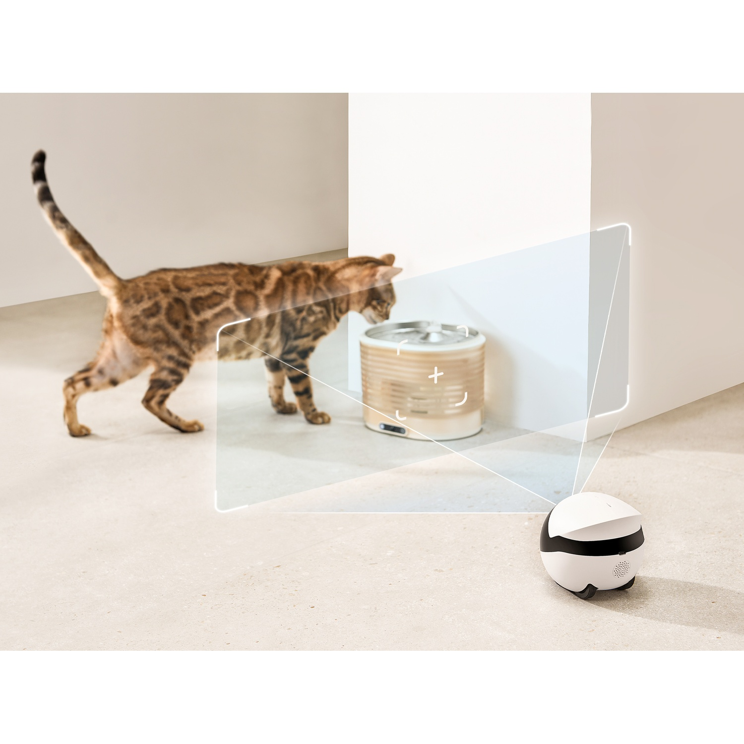 Un gatto accanto a una fontana con un display interattivo.