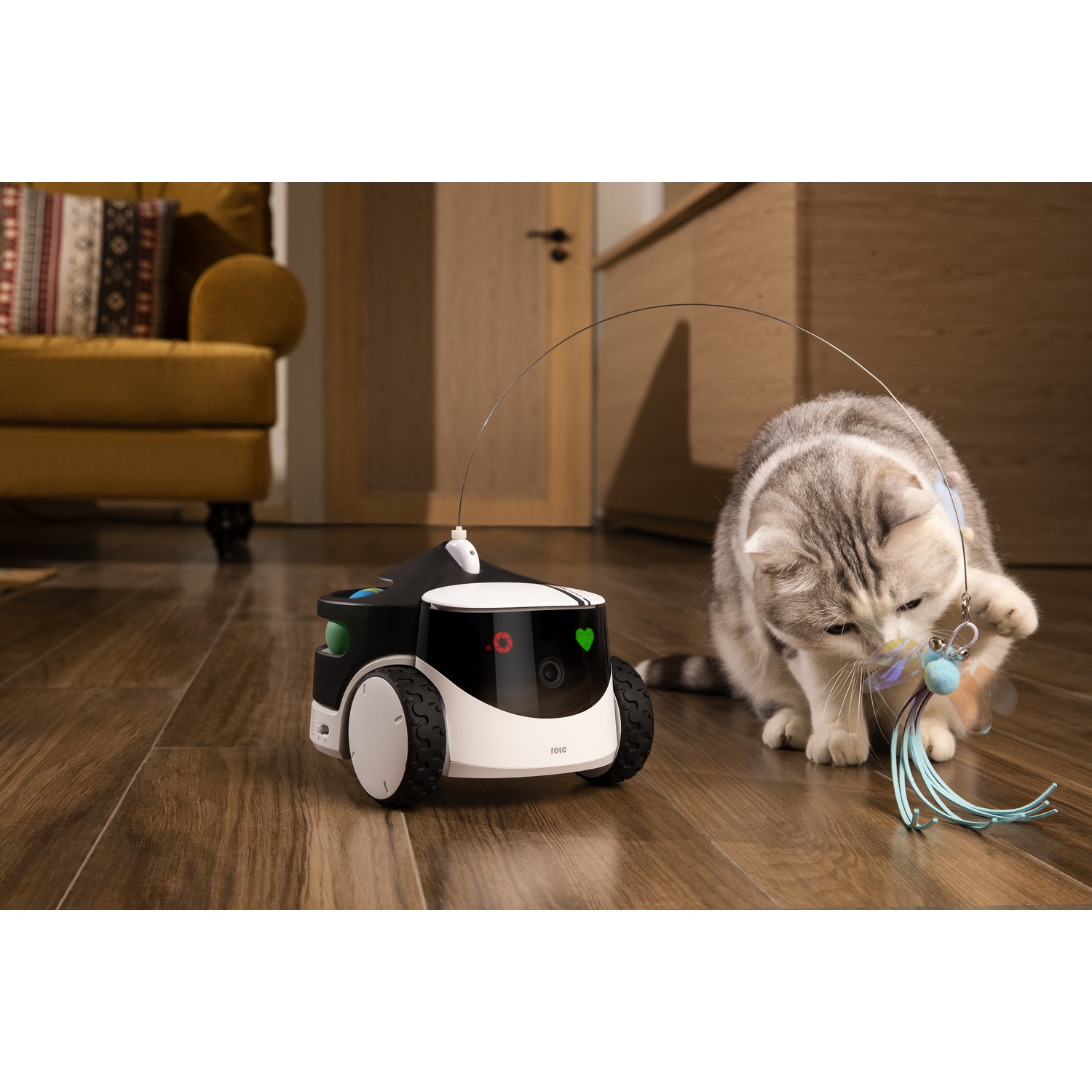 Un gatto gioca con un giocattolo a forma di libellula. Un giocattolo robot sullo sfondo.