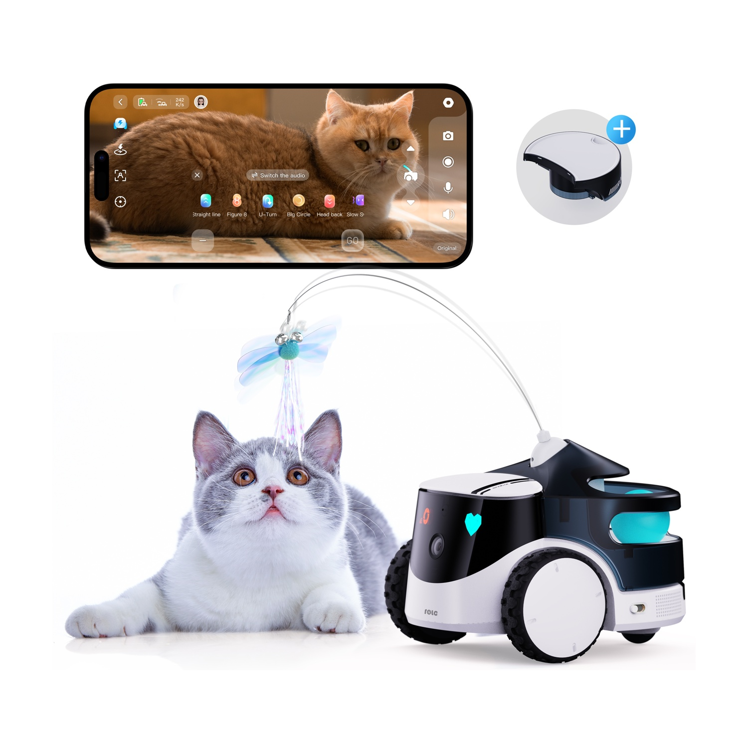 Giocattoli per gatti e un gatto sono mostrati su sfondo bianco. Uno schermo di telefono cellulare è visibile in alto a sinistra.
