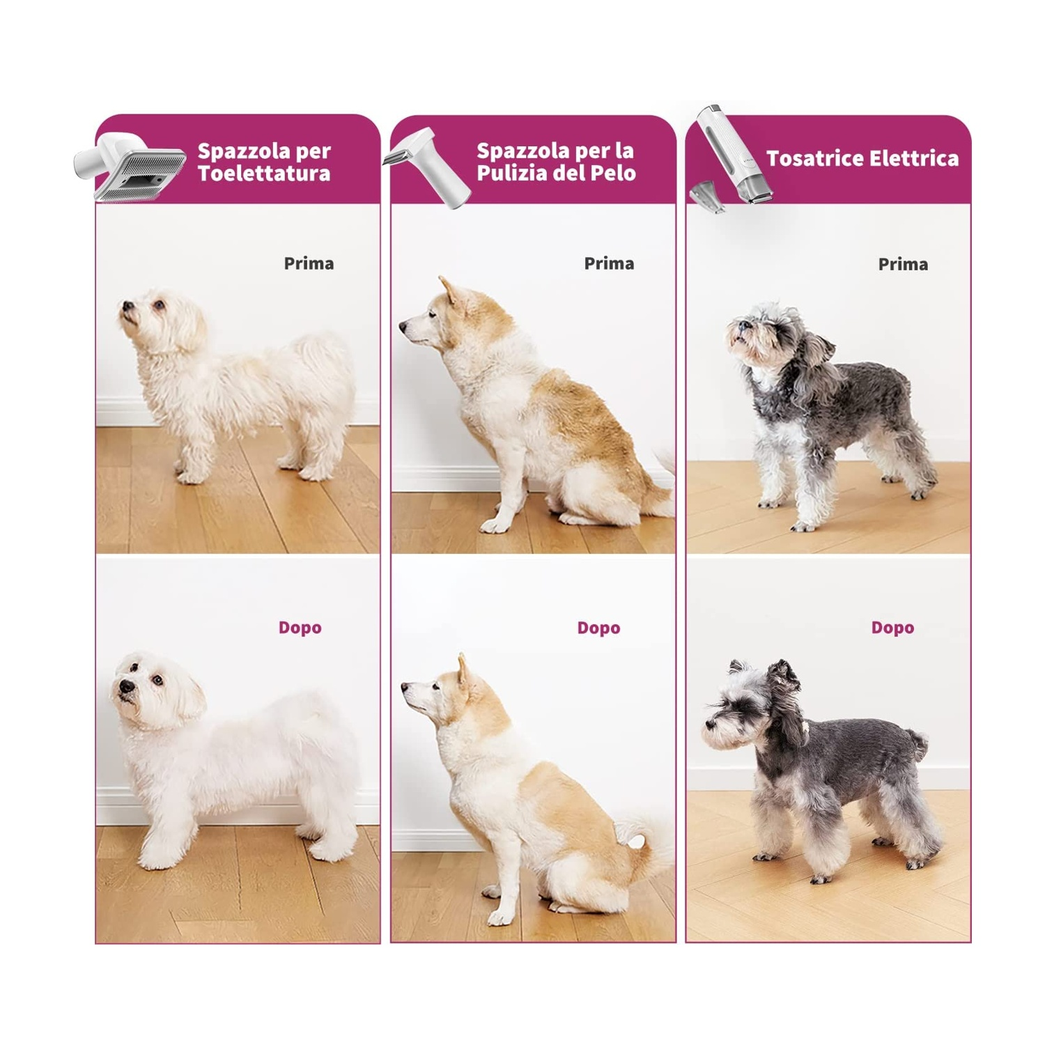 Immagini del prima e del dopo di cani tosati con diversi strumenti: spazzola, strumento per la rimozione del pelo e tosatrici.