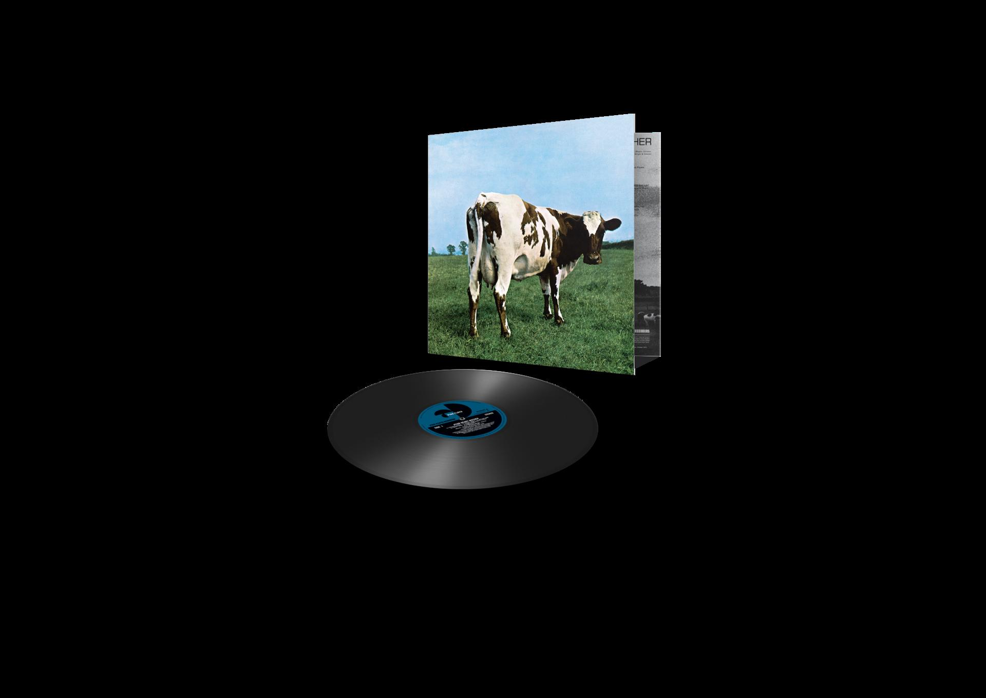 Albumhoes met een koe in een groen veld, daaronder een vinylplaat. Pink Floyds 'Atom Heart Mother'.