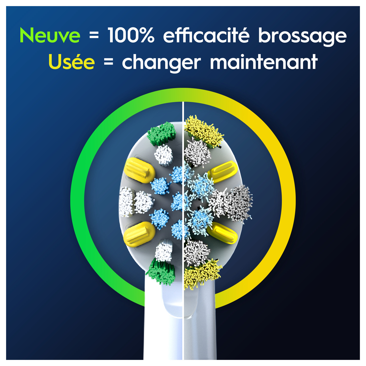 Tête de brosse à dents. Moitié montre des soies neuves, l'autre usées. Vert et jaune.