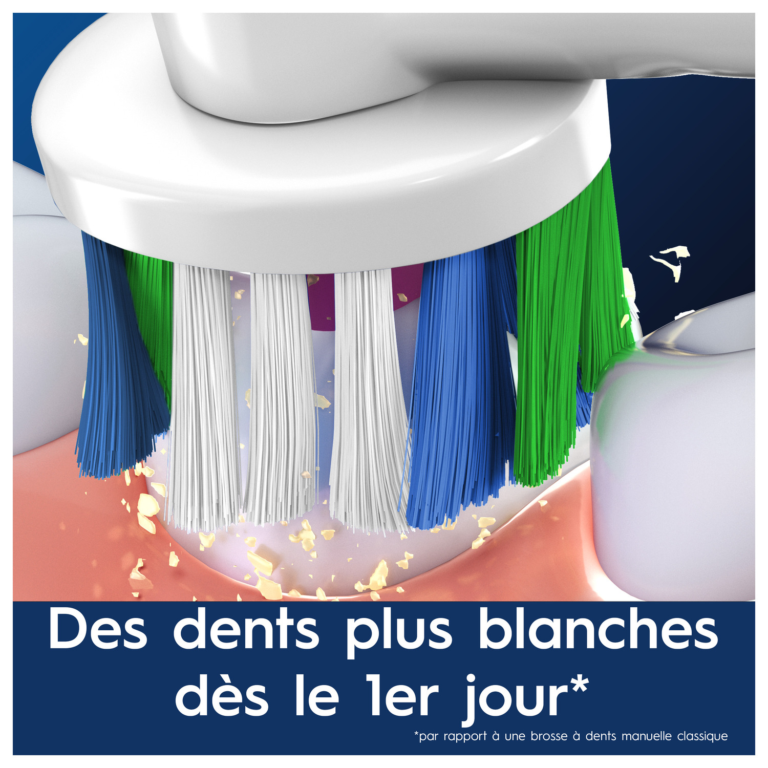 Soies de brosse à dents nettoyant les dents. Texte : Dents plus blanches dès le 1er jour.