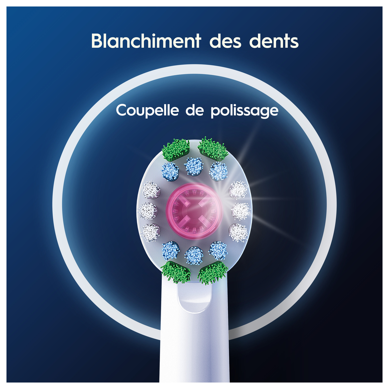 Gros plan d'une tête de brosse à dents. Texte : Blanchiment. Coupe de polissage.
