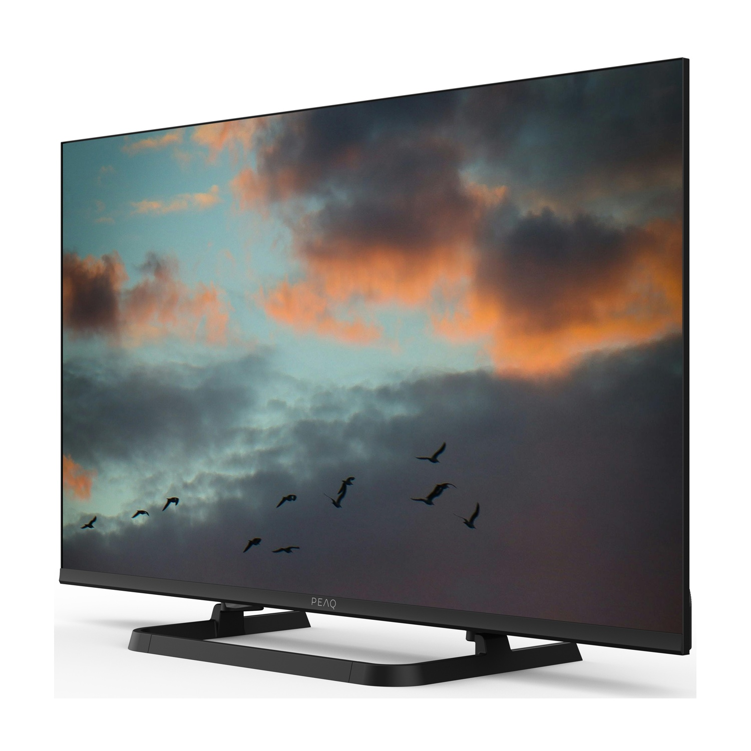 TV che mostra un cielo nuvoloso con uccelli che volano sullo schermo. La TV ha una base nera.