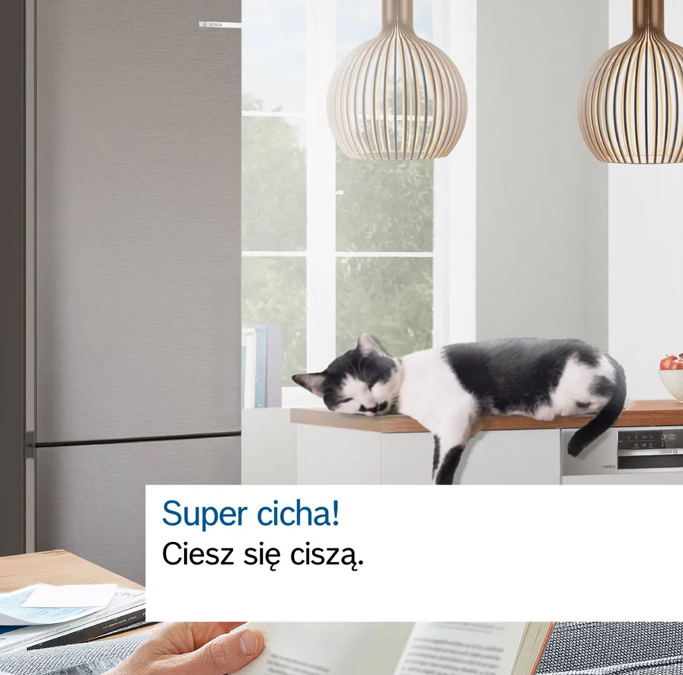 Lodówka ze stali nierdzewnej stoi w kuchni. Kot śpi na blacie w pobliżu okna.