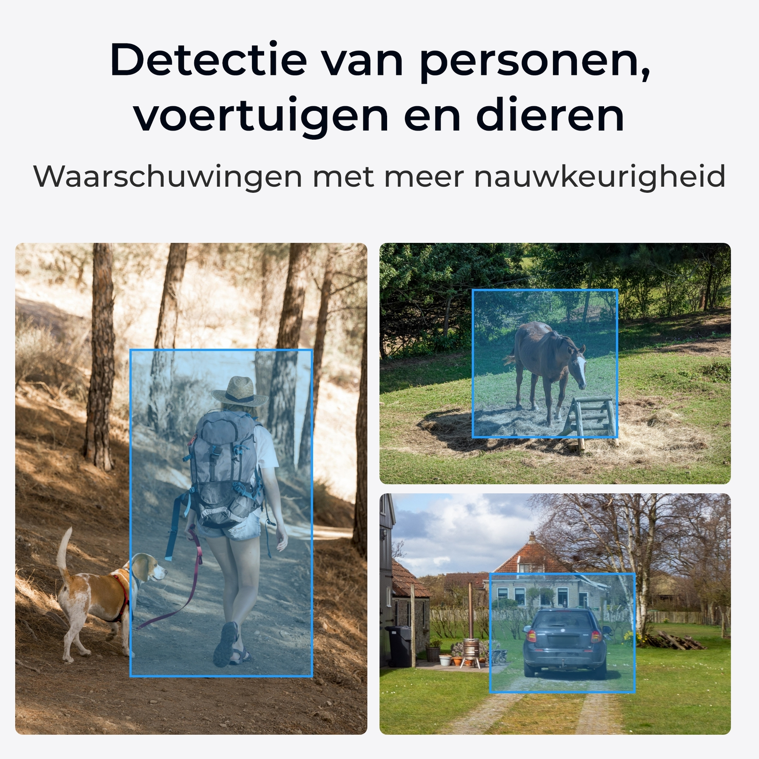 Three images showing detection of people, animals and vehicles. Person, dog and car examples.