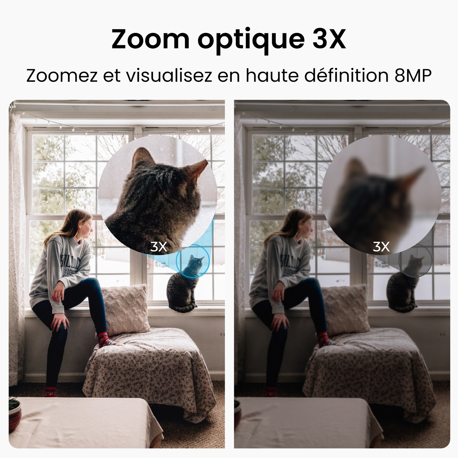 Femme près de fenêtre avec zoom chat. Chat zoomé en cercle. Neige dehors.