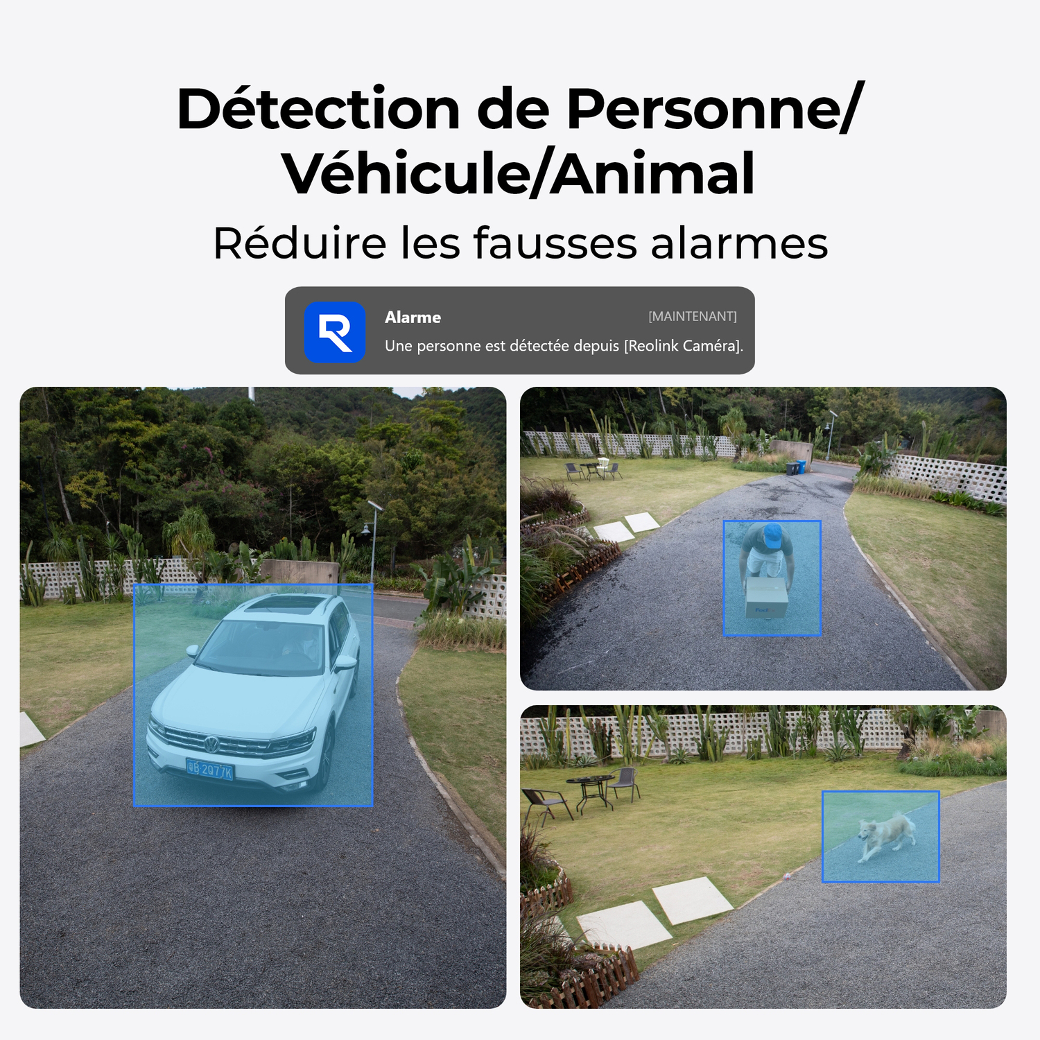 Images montrent une voiture, une personne et un chien avec des boîtes bleues, indiquant des fonctions de détection.