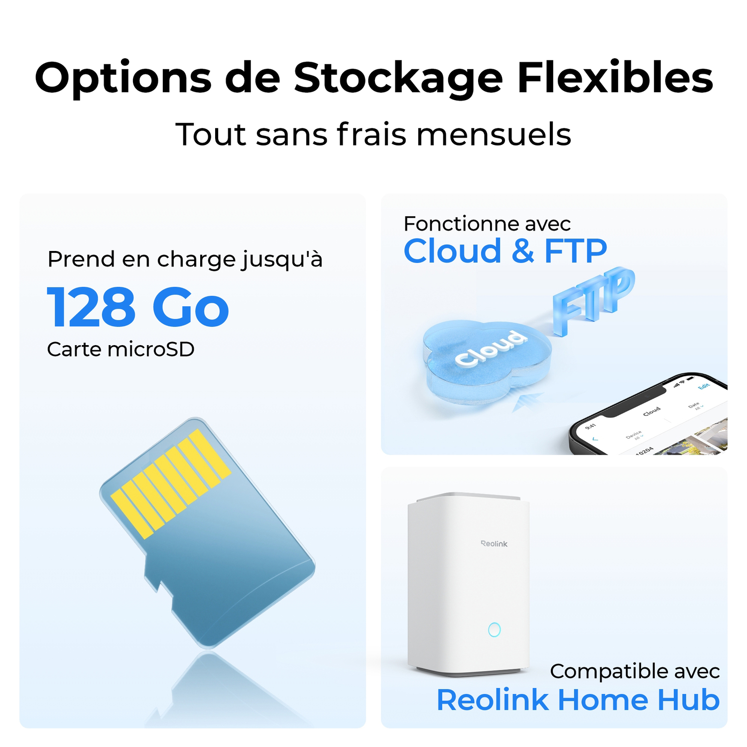 L'image montre une carte microSD, des options cloud et ftp, et un appareil Reolink Home Hub.