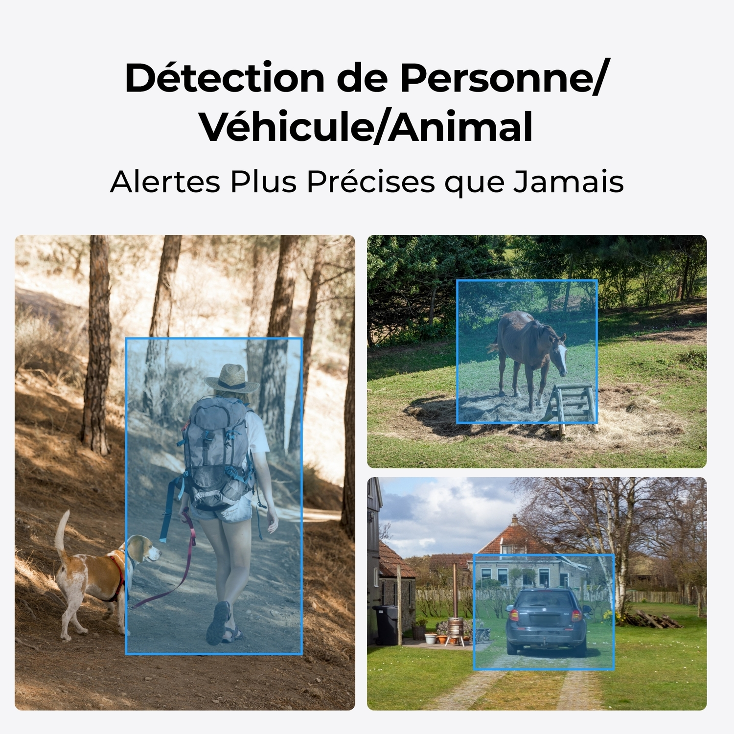 Images d'objets détectés : une personne marchant avec un chien, un cheval dans un champ et une voiture dans une allée.
