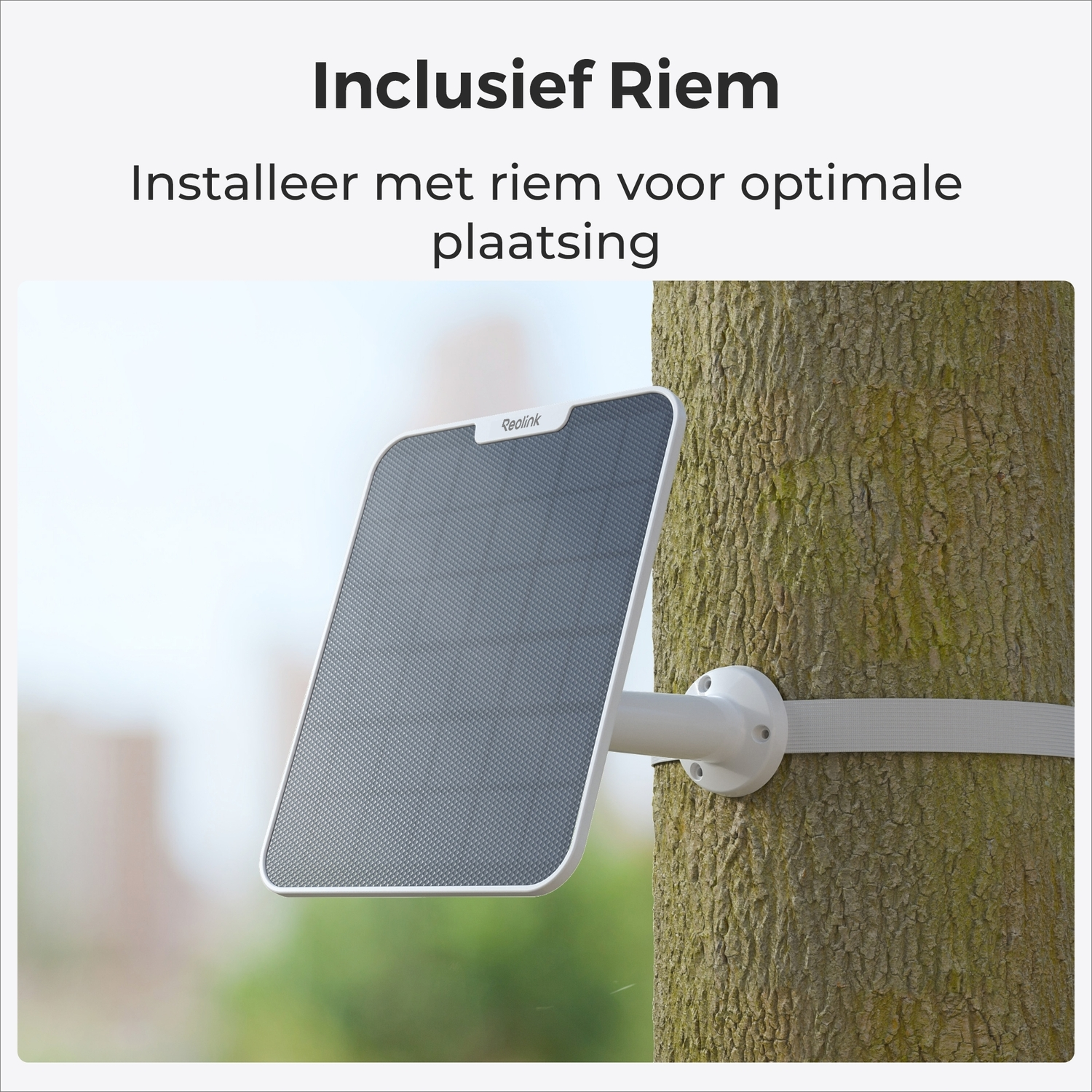 A solar panel is attached to a tree with a white strap. The panel is dark grey and white.