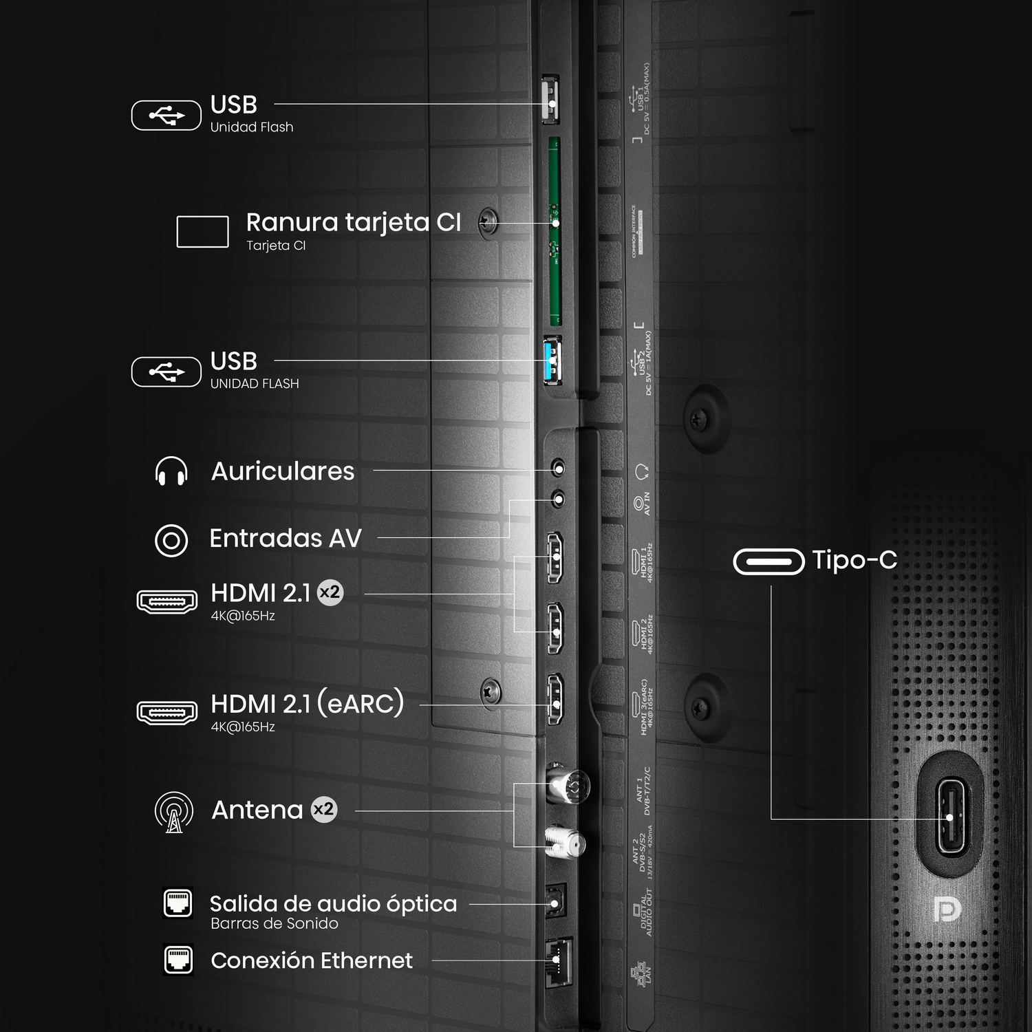 Primer plano de la parte trasera de un televisor con varios puertos de entrada etiquetados con texto. La parte inferior es visible.