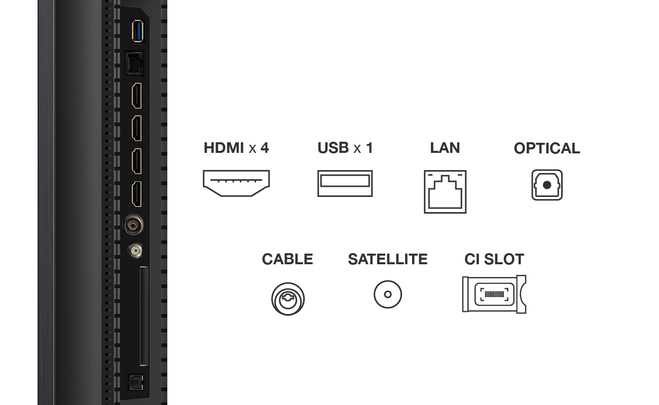 Gros plan sur les ports TV : HDMI x 4, USB x 1, LAN, Optique, Câble, Satellite, CI SLOT. Icônes affichées.