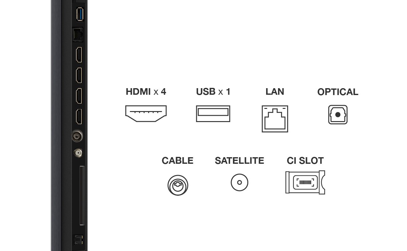Gros plan des ports TV : HDMI, USB, LAN, Optique, Câble, Satellite et fente CI.