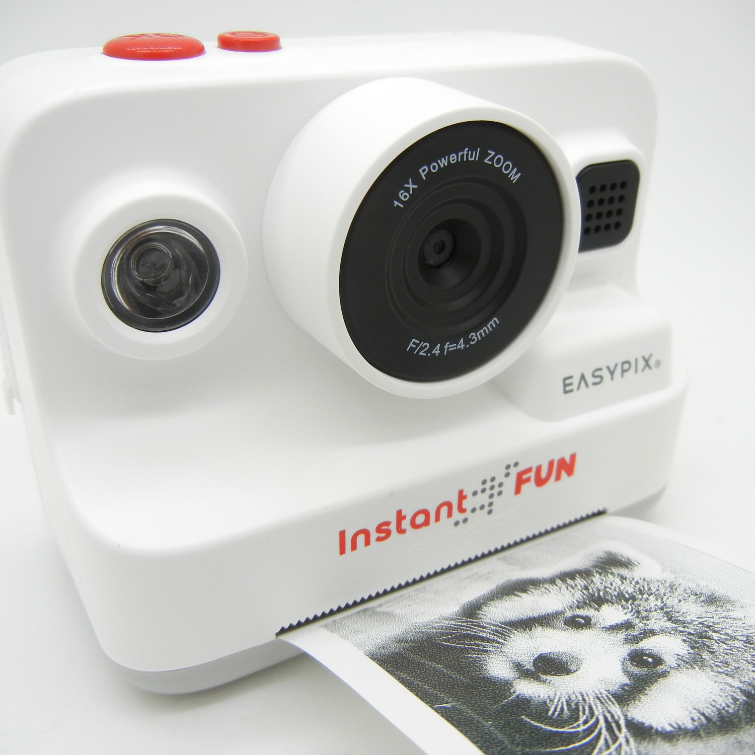 Fotocamera istantanea bianca che stampa una foto di un procione. La fotocamera ha un obiettivo nero e un pulsante rosso. Dice EASYPIX e Instant FUN.